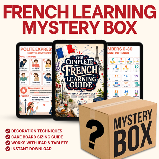 French Learning Mystery Box